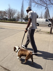 Amar'e and his dog, Spudd.