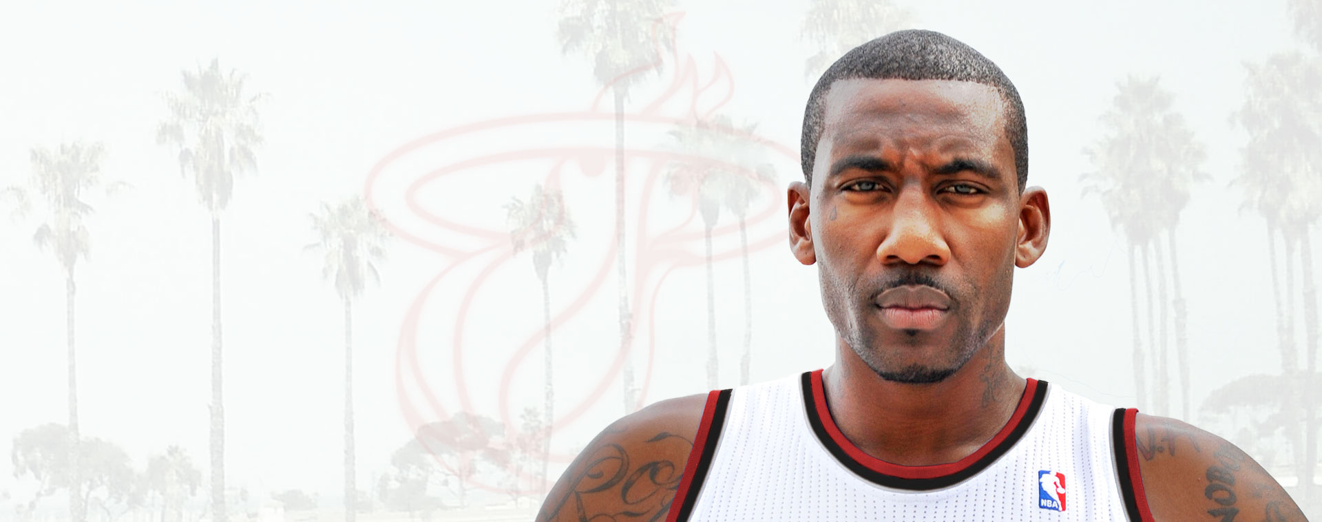 amare stoudemire all star