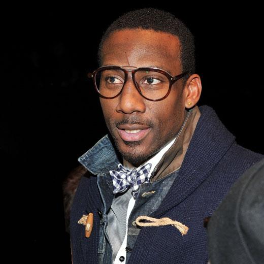 14792_amare_stoudemire_520